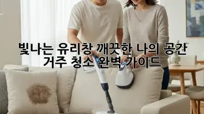 빛나는 유리창, 깨끗한 나의 공간: 거주 청소 완벽 가이드